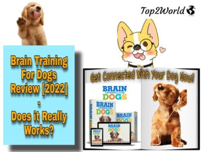 Brain Training For Dogs Review [2020] - Does it Really Works